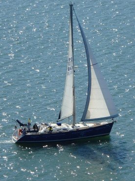 BOWT - Aqui Há Peixe Sailboat