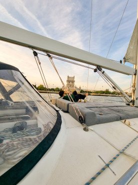 BOWT - Nautisirius