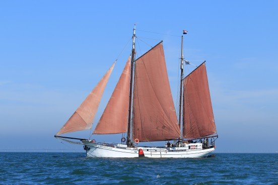 BOWT - Westenwind