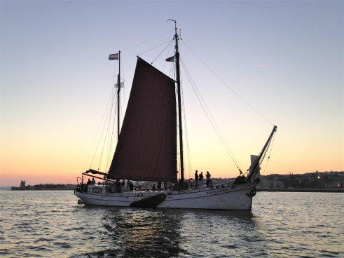 BOWT - Westenwind