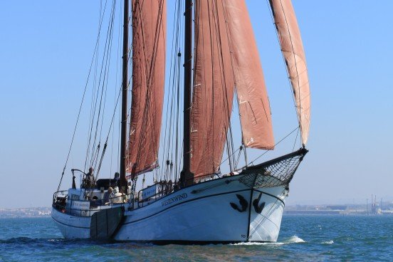 BOWT - Westenwind