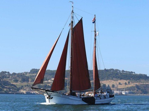 BOWT - Westenwind